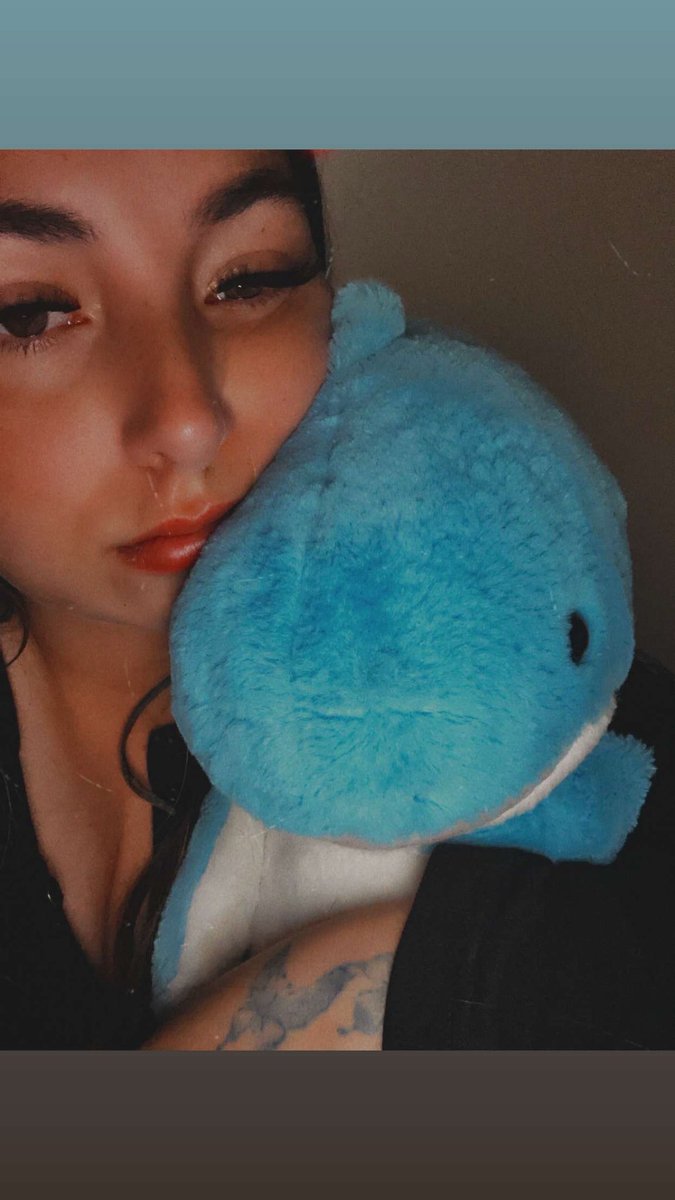 eatitupkat's tweet photo. 🦈 https://t.co/lxni3qcavw