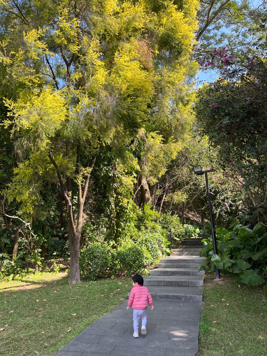 ErlineH6c's tweet photo. Qué día soleado y perfecto para salir a caminar por el parque, el aire fresco de la primavera es tan agradable https://t.co/jNKMSvvPHY