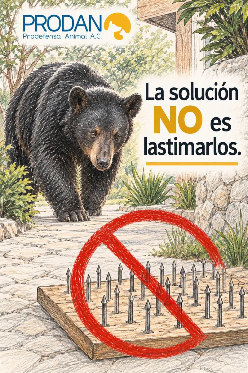 LoQuePasaEnNL's tweet photo. Muy buena imagen de @prodanmty  

Leaan el artículo completo ⬇️
https://t.co/doDUQmdLJJ https://t.co/QOEvNqlWKe