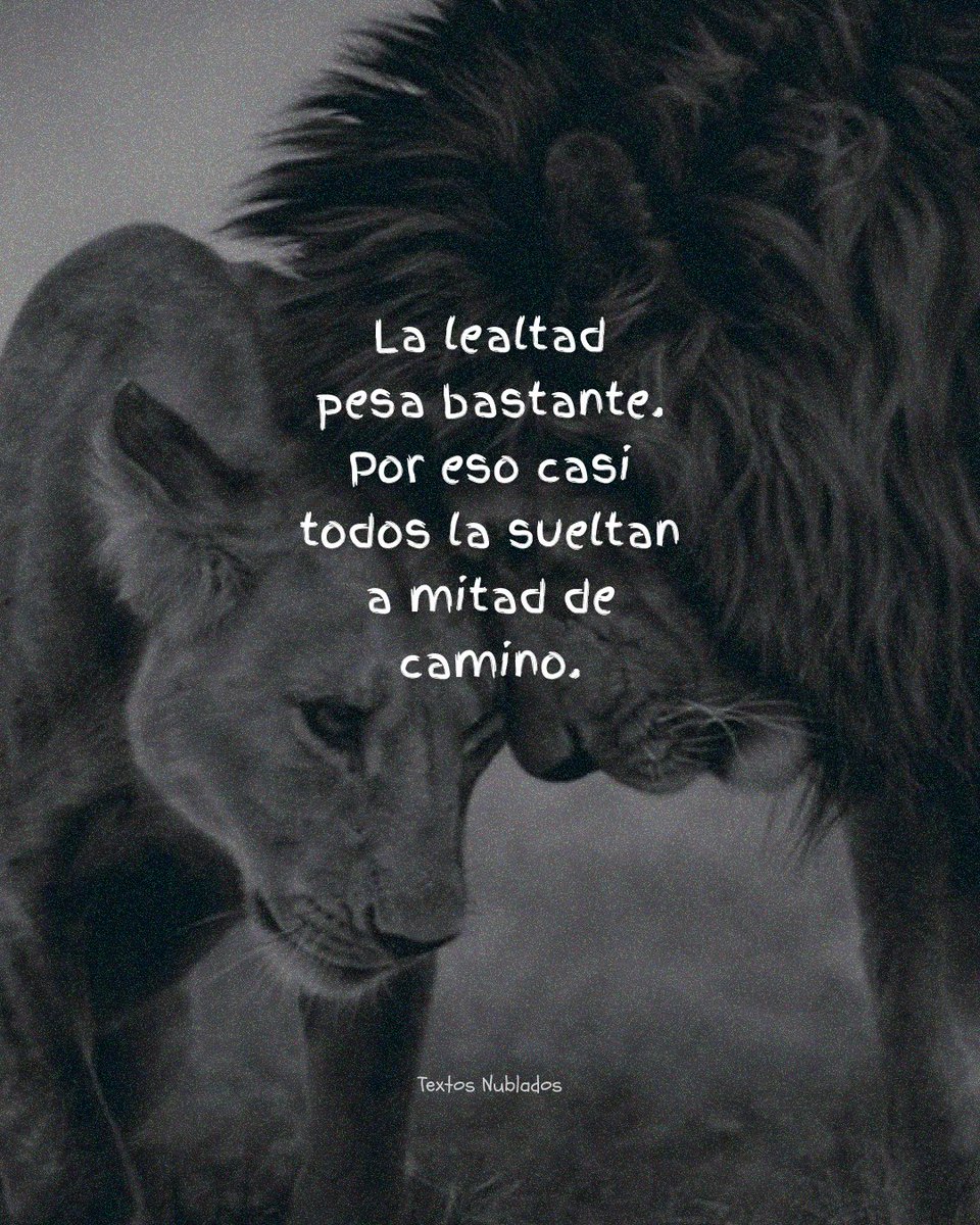 textosnublados's tweet photo. https://t.co/6xvii0hNBg