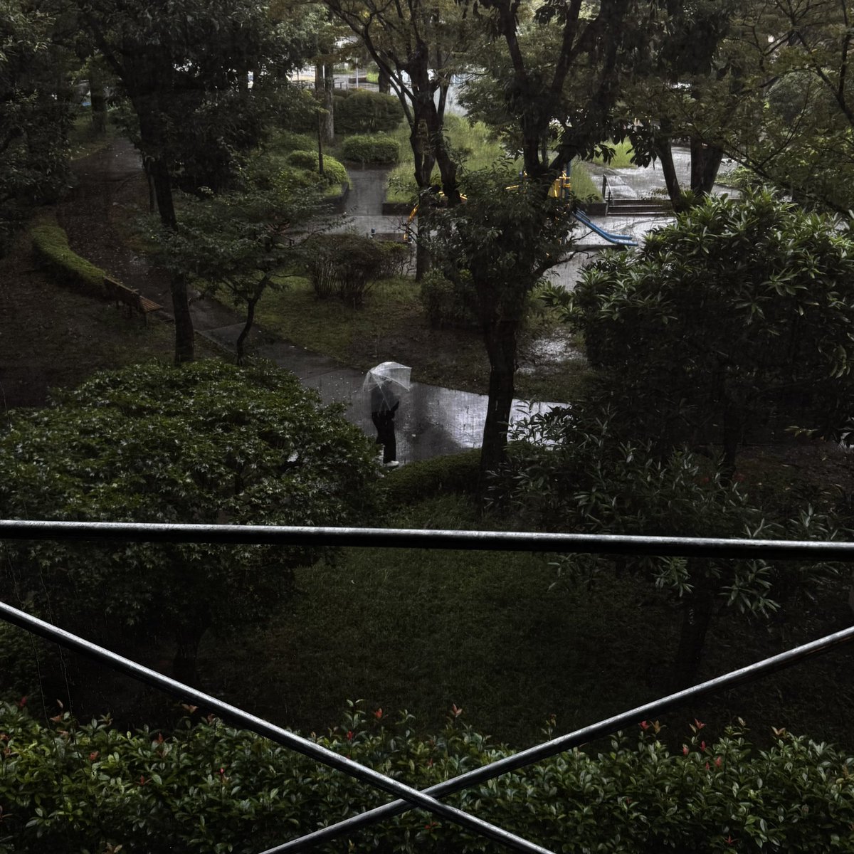 abayashi's tweet photo. 雨の朝 https://t.co/62fKrPChn5