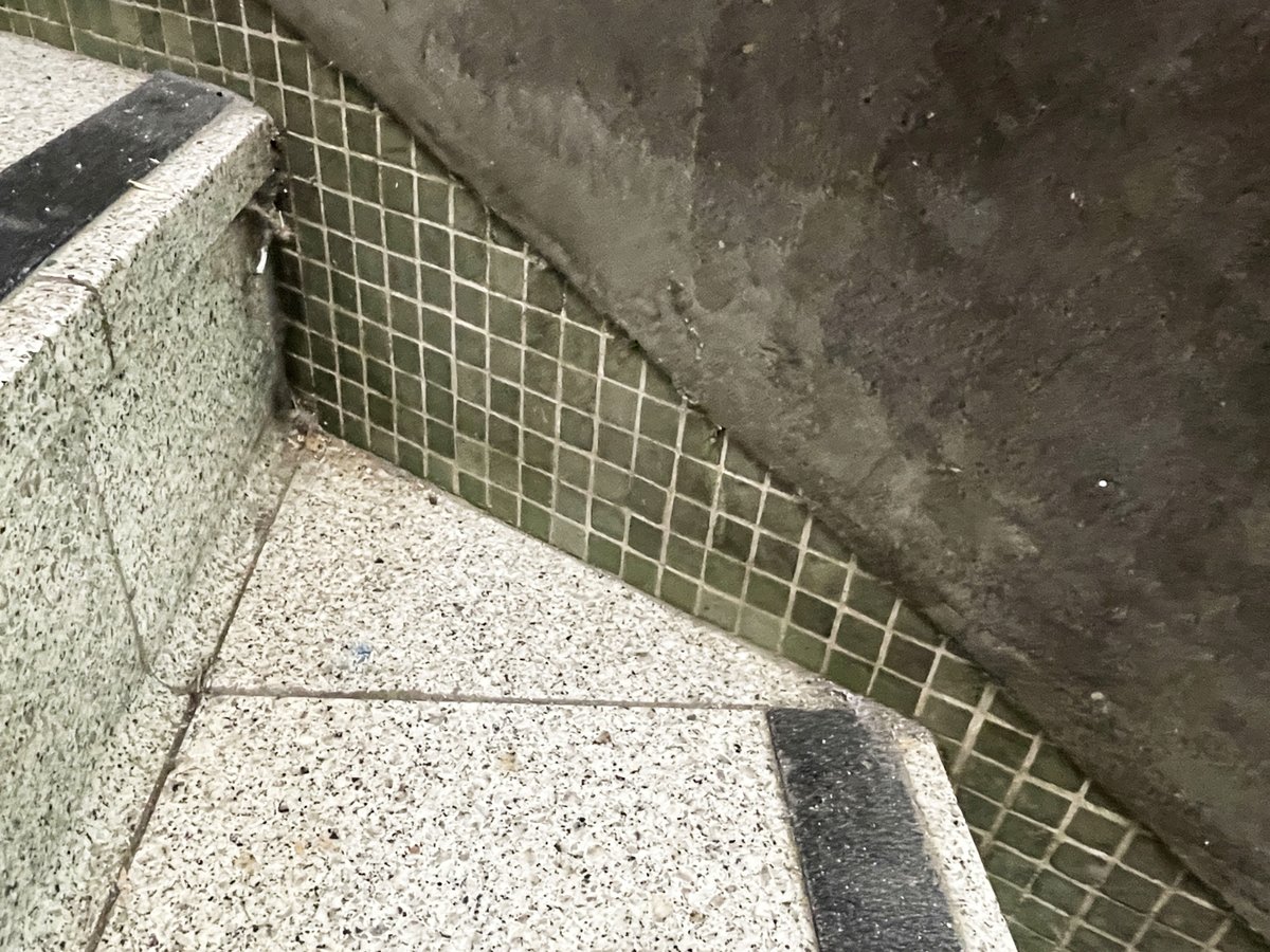 tukitanu's tweet photo. 【 阪急三宮駅東口には戦前のモザイクタイルが残っている。 】
最初は壁手すり全体がタイル仕上げだったと思った。改修のさいに足元だけ元のタイルが残ったと思ったのだ。帰って写真を見直すと最初からこのデザインだったことが分かった。これはタイル巾木（はばぎ）だ。（続きは note へ https://t.co/QW7a57fzFA 乞うフォロー）
