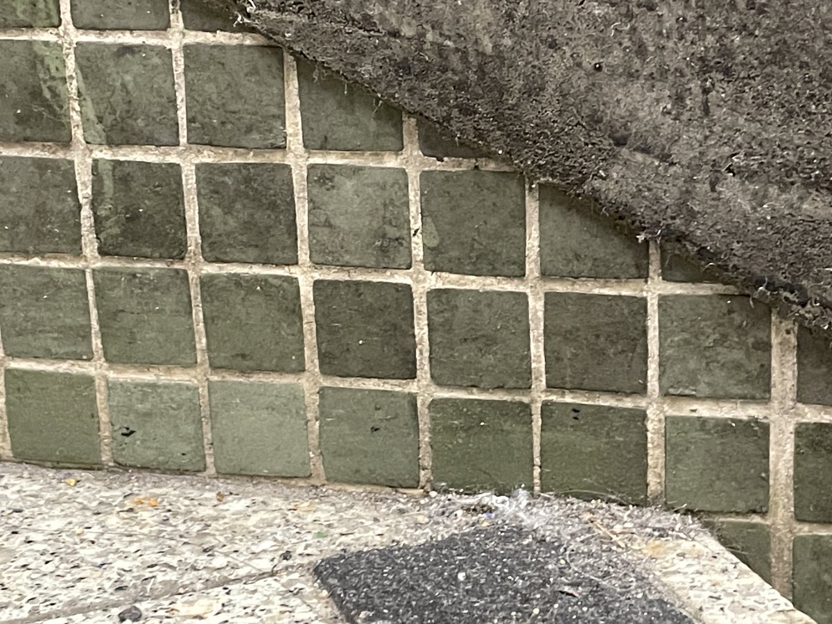 tukitanu's tweet photo. 【 阪急三宮駅東口には戦前のモザイクタイルが残っている。 】
最初は壁手すり全体がタイル仕上げだったと思った。改修のさいに足元だけ元のタイルが残ったと思ったのだ。帰って写真を見直すと最初からこのデザインだったことが分かった。これはタイル巾木（はばぎ）だ。（続きは note へ https://t.co/QW7a57fzFA 乞うフォロー）