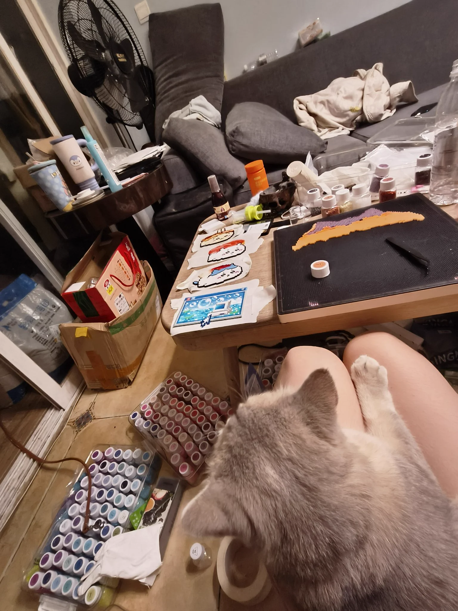 猫跨 不到一百斥不改名on X: 