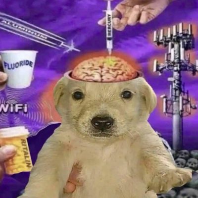 nrzmaaar's tweet photo. #NuevaFotoDePerfil https://t.co/m8XHZq2P0d