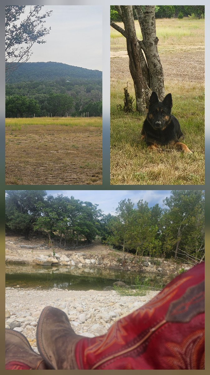 Mechanic429's tweet photo. 🇺🇸 🫶 God definitely Blessed TX 🚀 

https://t.co/zcKD5ivmco https://t.co/sE6jbsxO2T