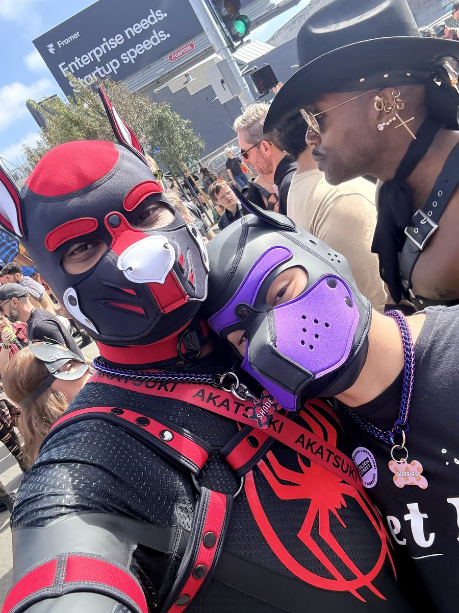TopBoyBrandon's tweet photo. Happy #folsom! -Spidey pup https://t.co/JwbXMzkakb