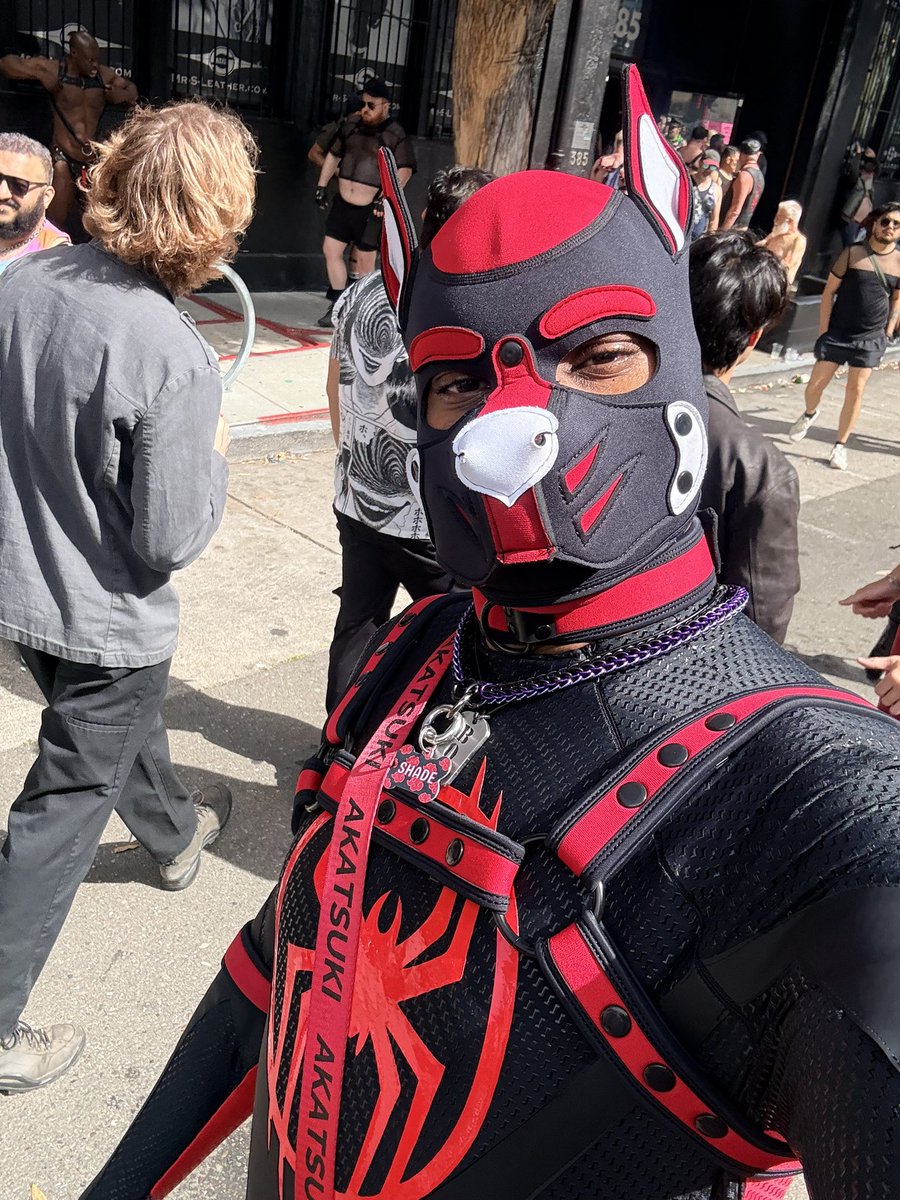TopBoyBrandon's tweet photo. Happy #folsom! -Spidey pup https://t.co/JwbXMzkakb