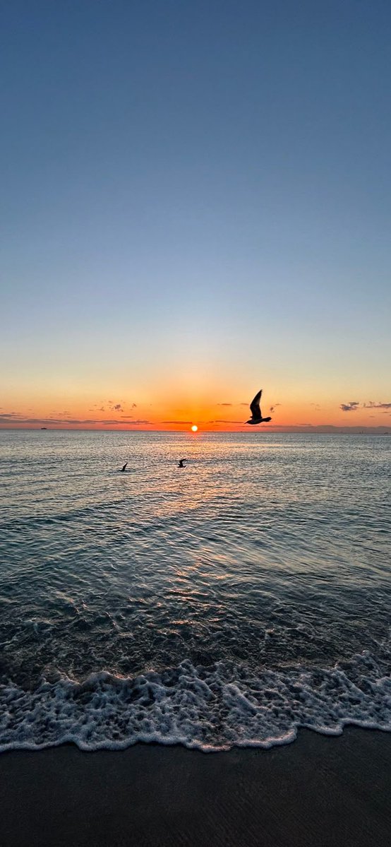 purelivn's tweet photo. sunrise https://t.co/HWH1kBnK1H