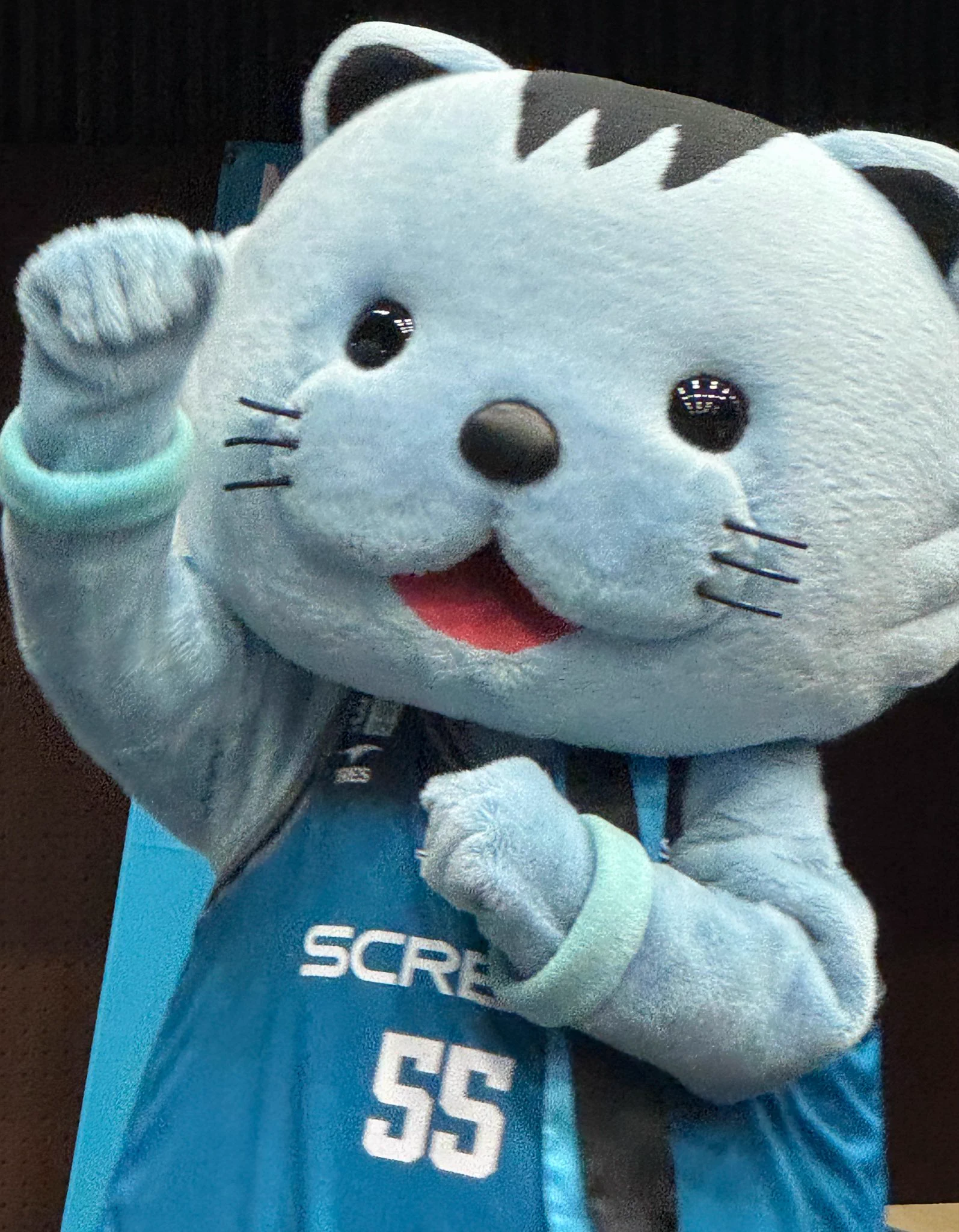 タヌchan on X: 