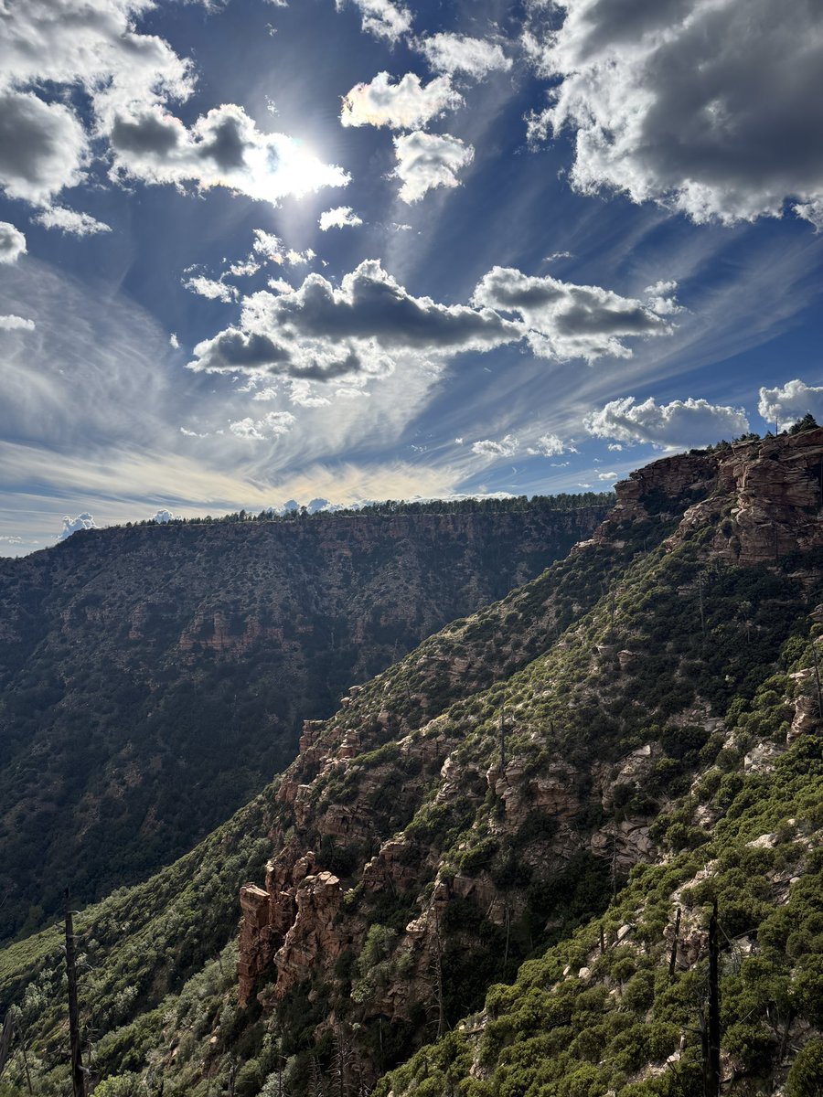 BenjiBacker's tweet photo. We should be funding and maintaining our public lands more, not less.

Another incredible weekend in the secret mountains of Arizona. https://t.co/m2p8piXVxZ