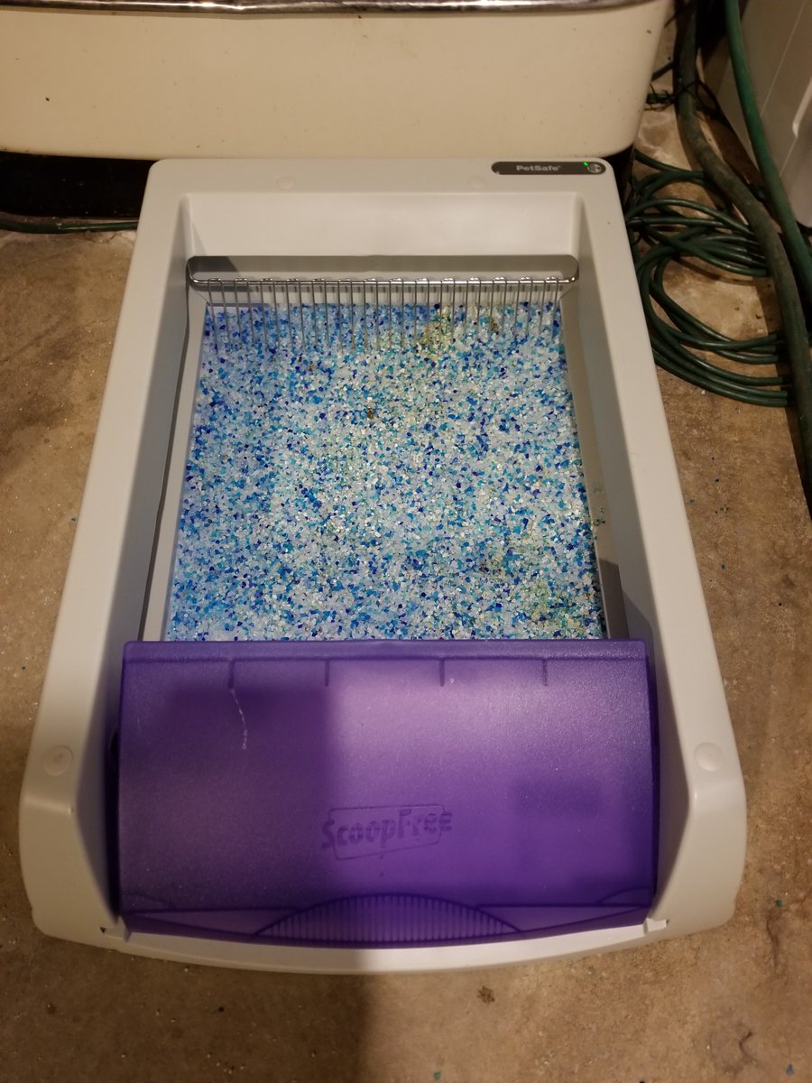 CatTalesLaura's tweet photo. Cleaning Up Various Brands Of Litter Boxes #lauracats #catsoffacebook #catsofinstagram #catsoftwitter #catsarefamily #litterboxes @Chewy https://t.co/q1prN60SVH https://t.co/rMjIoziMNc
