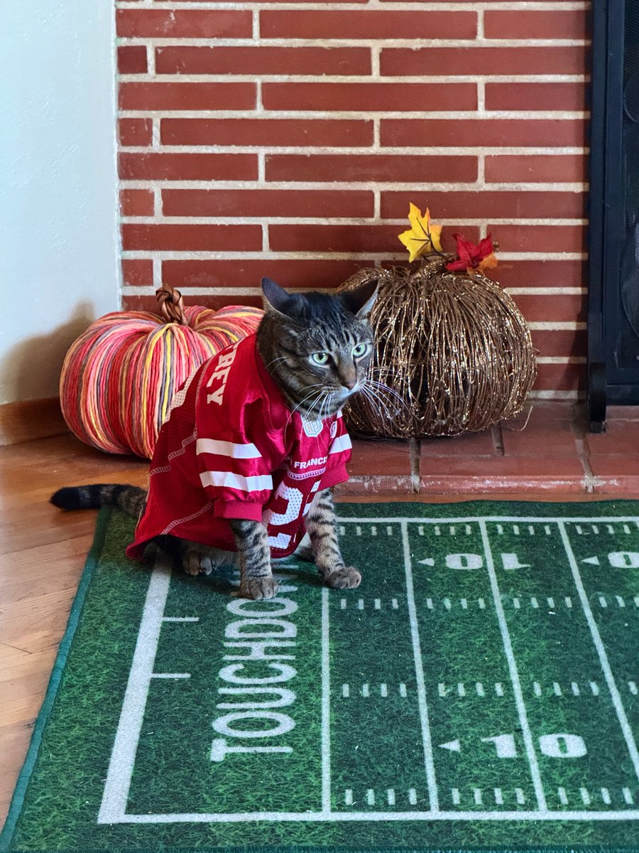 sosofiaj's tweet photo. Touchdown McCatfrey! #49ers #McCaffrey https://t.co/XjuqleImn1