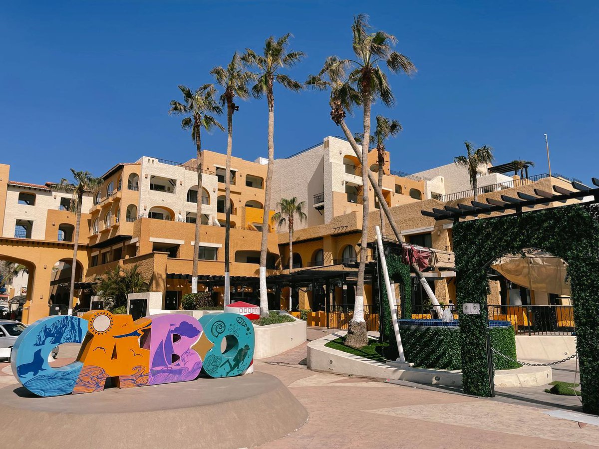 Dabertina's tweet photo. Somewhere between living and dreaming, there’s Cabo. 🇲🇽 https://t.co/FLuEe5VDz4