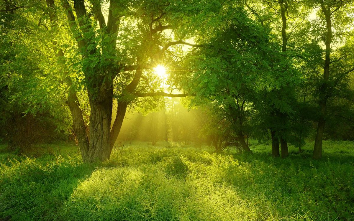 BulahTahir59je's tweet photo. Adjust your daily schedule! Aim to sleep before 11 PM, get 7-8 hours of rest, and wake up at a fixed time. Small changes bring big energy boosts.， https://t.co/SQy1PvmOYP