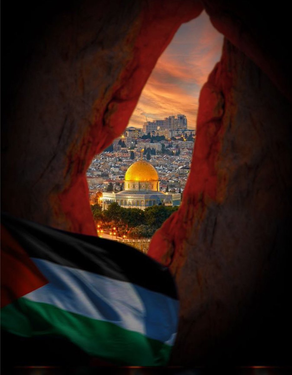 GREATARAB0's tweet photo. @a_albander يكفي ان لم تكن عربيا او مسلما أن تكون إنسانا لتقف مع #فلسطين 🇵🇸 و #غزة 

#Palestine 
#Gaza
#Irland https://t.co/06CfO7E0JP