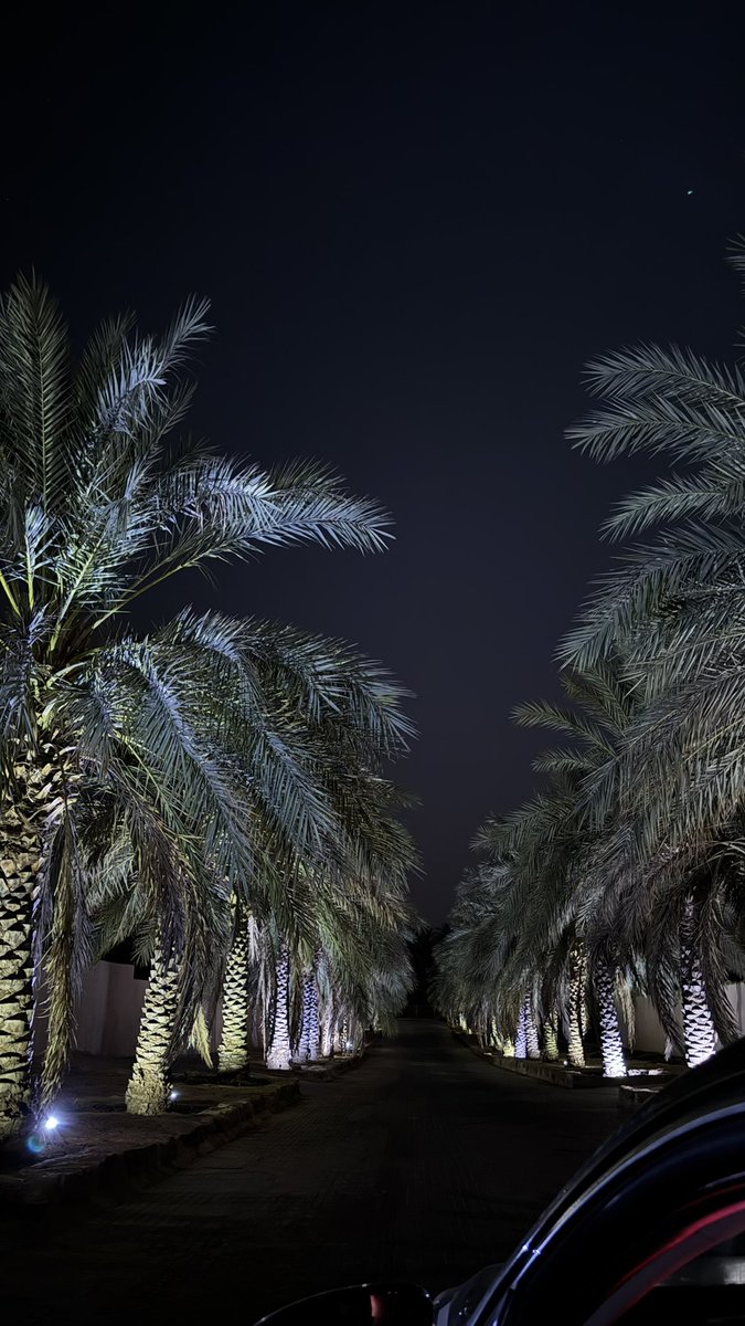 apreslesoleill's tweet photo. أحب النخل
النخل أحبه https://t.co/tfKMP3NYvx