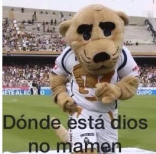hexadaa_'s tweet photo. @edstella_ Irle a pumas en estos momentos se siente así https://t.co/yVuwzJgA6A