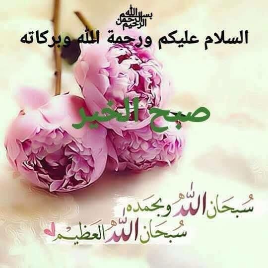 Khan_zaadee's tweet photo. 💞 **دل سخت کیوں ہو گیا؟**💞

نہ دعا میں مزہ، نہ قرآن میں دل لگتا ہے؟
وجہ گناہ ہیں۔
نبی ﷺ نے فرمایا:
"جب بندہ گناہ کرتا ہے تو دل پر ایک سیاہ نکتہ لگ جاتا ہے۔"
 سنن ترمذی 3334

استغفار کرو، ��ل نرم ہو جائے گا۔
**أَسْتَغْفِرُ اللّٰہَ**
#داستان_دل https://t.co/r94gh4oR1c