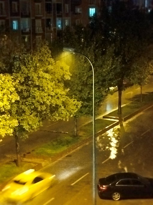A nighttime street view showing wet roads reflecting the glow of a yellow streetlight illuminating trees, with a yellow car and a dark car driving on the street.