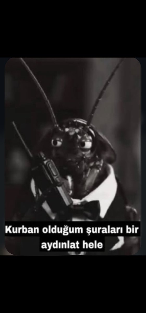 nergis5677's tweet photo. Hala gerçek mi, yalan haber mi diye yazan olursa şunu yapıcam https://t.co/J7gjXUAPig