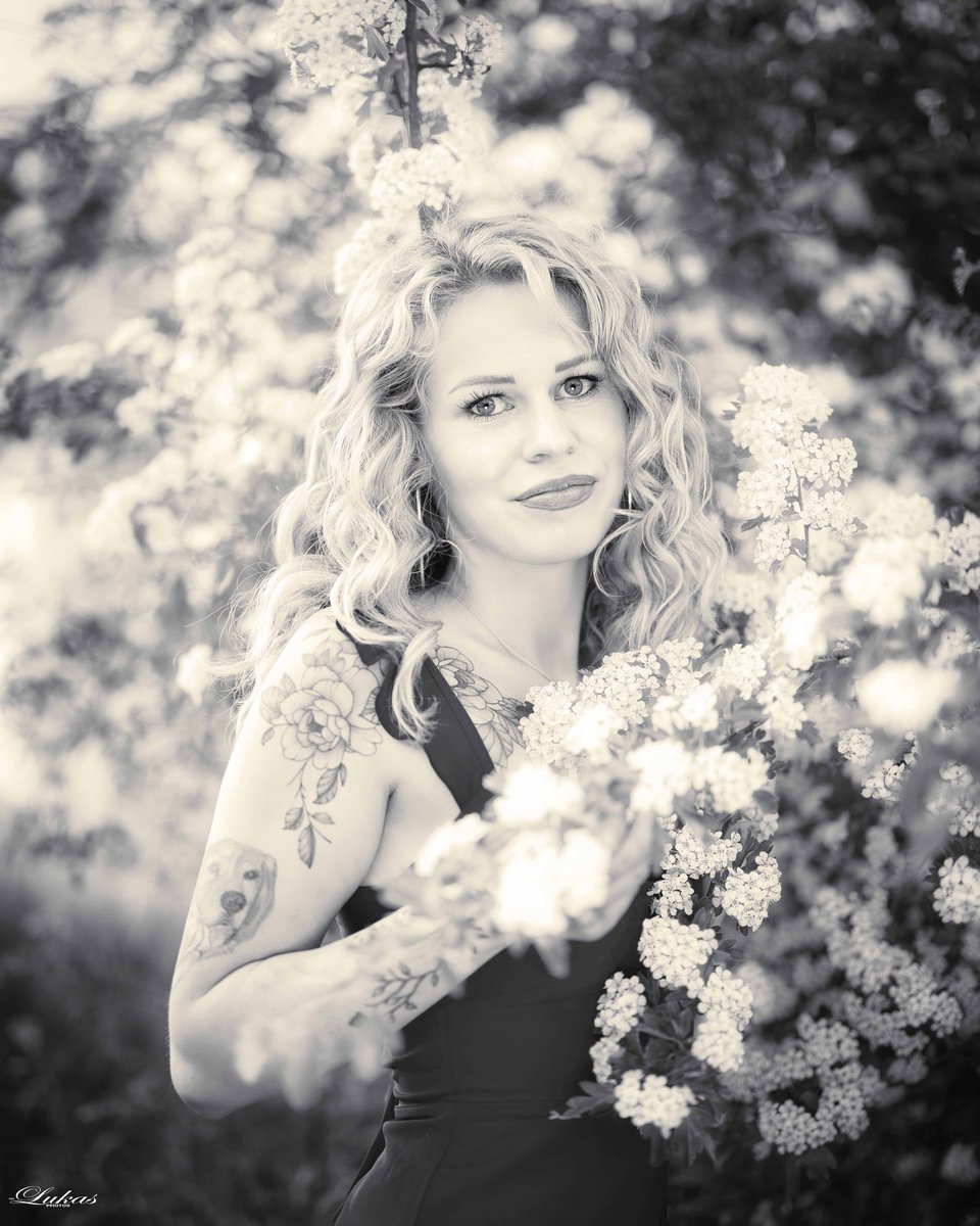 HaileyBenkitt's tweet photo. Golden hour magic among the blooms—the perfect light for a perfect day. Springtime feelings and pure happiness. https://t.co/hScpSlu0Jk