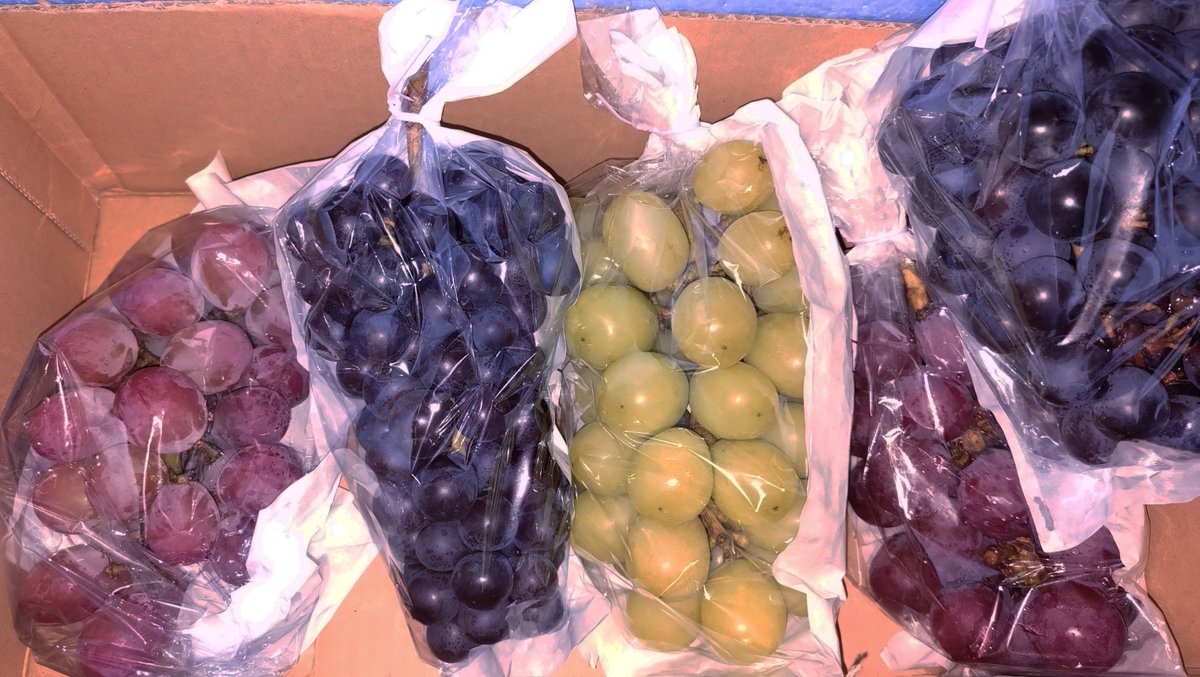 after_genesis's tweet photo. ぶどうを頂いた🍇🤤 https://t.co/qVYEfq61do