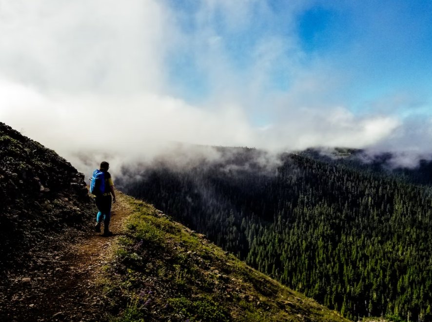 baghuij00963792's tweet photo. When you're hiking a steep trail, don't slack off—take a moment to enjoy the relaxed vibe and the cool scenery! https://t.co/RFbzNcwMbu