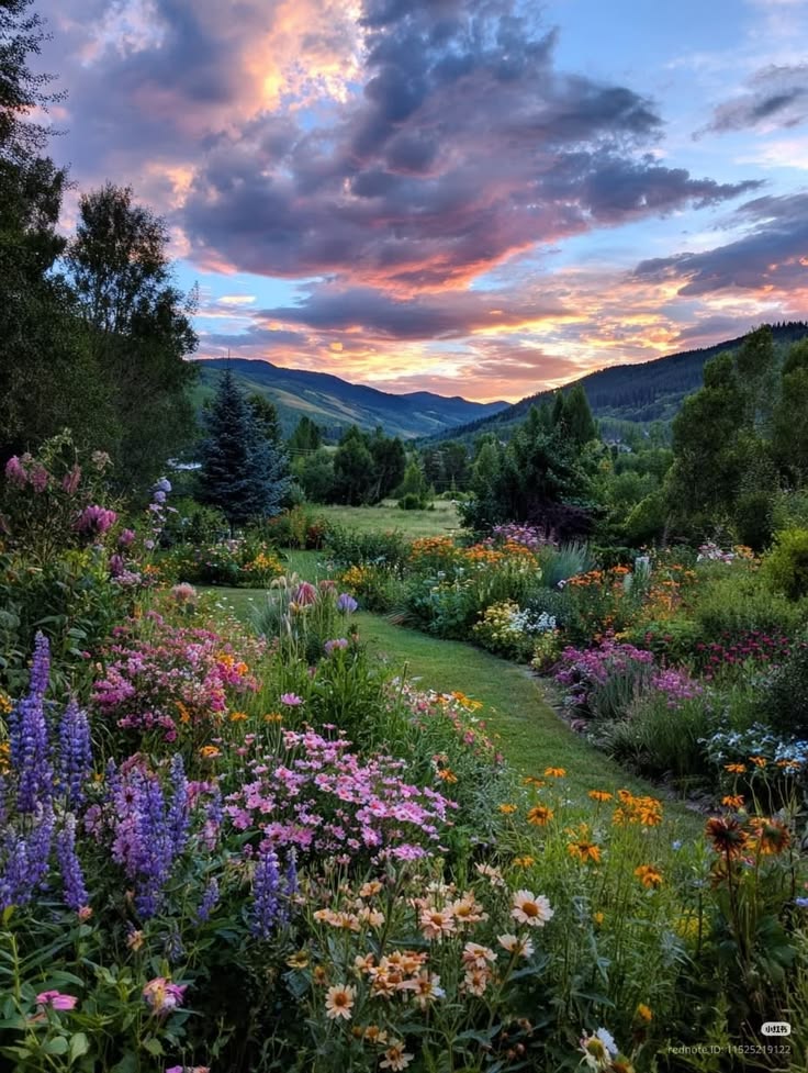 naturehealyou's tweet photo. earth is a beautiful place https://t.co/PCqCSukT0h