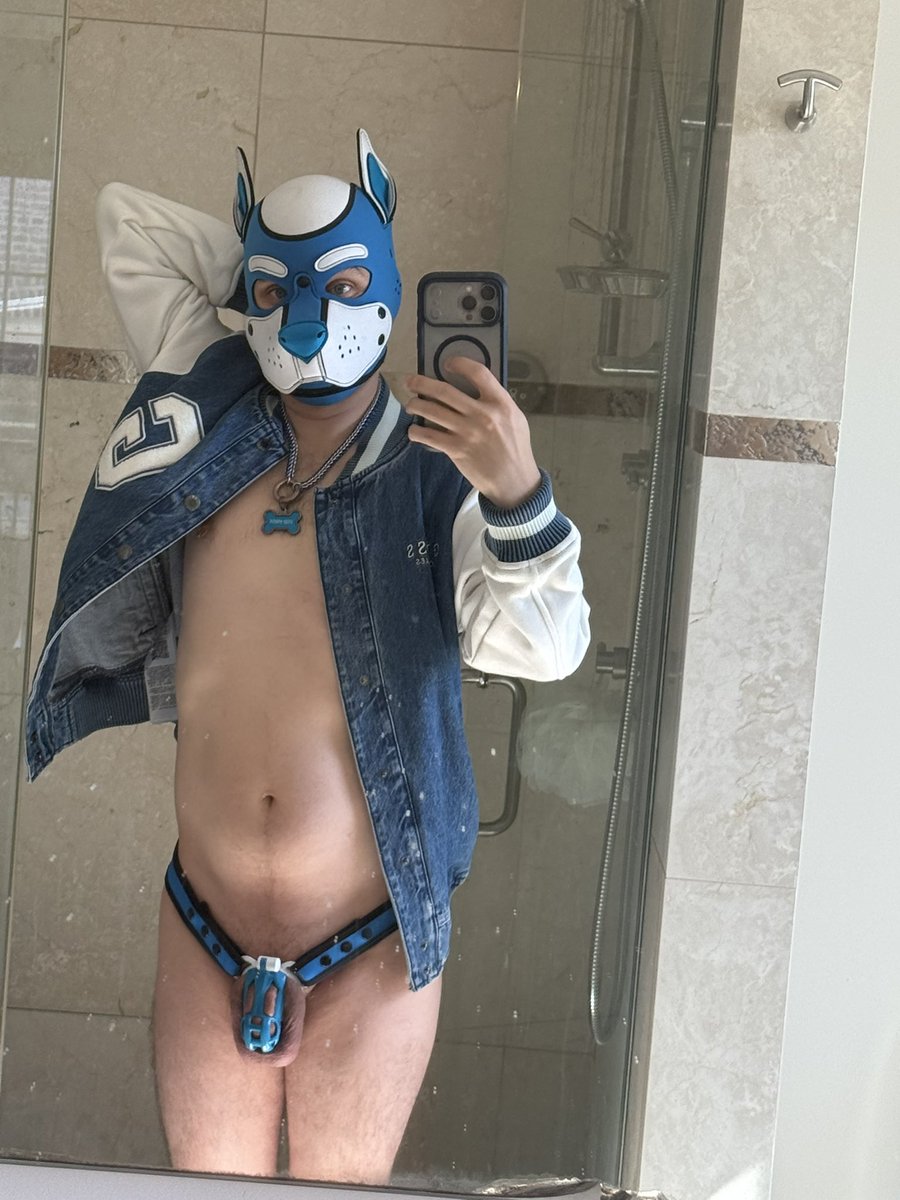 Pup_Arox's tweet photo. Puppy got a new jacket and cage combo just in time for Locktober. #locktober #pupplay #furry https://t.co/oKB5HKWvey