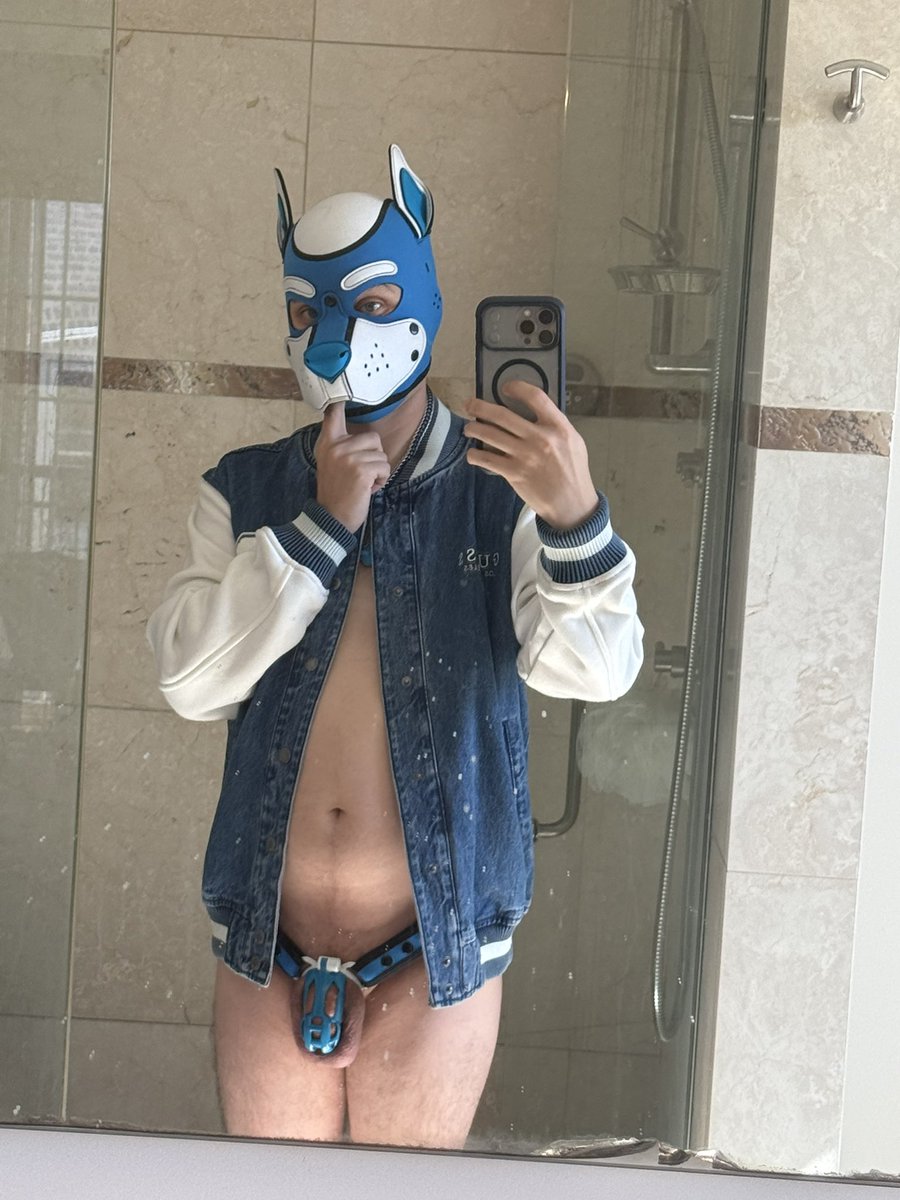 Pup_Arox's tweet photo. Puppy got a new jacket and cage combo just in time for Locktober. #locktober #pupplay #furry https://t.co/oKB5HKWvey