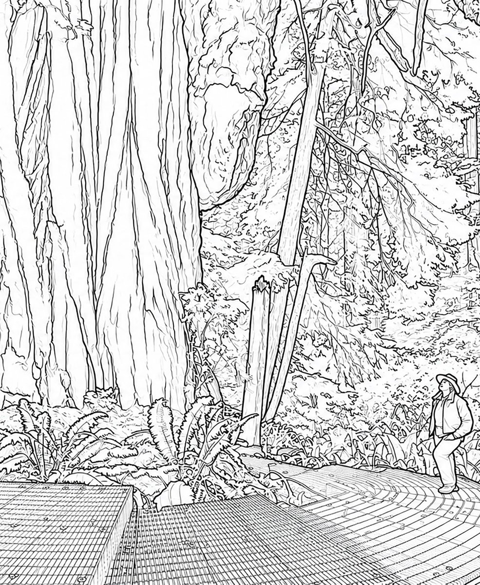travelpalettecb's tweet photo. Free Coloring Book Page: Redwood tree from "Redwood National and State Parks Coloring Book"
#adultcoloring #adultcoloringbook #coloring #coloringbook #coloredpencil #booksforkids #childrensbooks #kidsbooks #kidlit #california #redwood #nationalparks
https://t.co/y8dN5TbJzB https://t.co/TncrUmjdqw