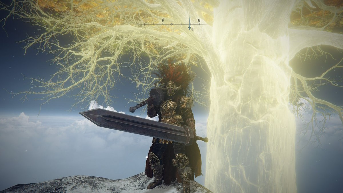 sunbronation's tweet photo. Every now and then you just gotta stop and enjoy the view in Elden Ring. Incredible that I can play this game at home or on the go now. I am LOVING my Switch 2 play through so far! https://t.co/T6kLxvYOUl