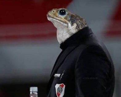 kzcabj's tweet photo. Gracias a que este chad no lo convocó a Enner a la selección pudimos ganar hoy. 

Nos sigue haciendo felices hasta sin querer. HÉROE https://t.co/HorVYnF7HE