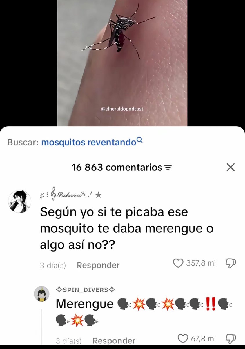 Mateosebas3tvo's tweet photo. Merengue 🗣🔥 https://t.co/D4j48lzEl3