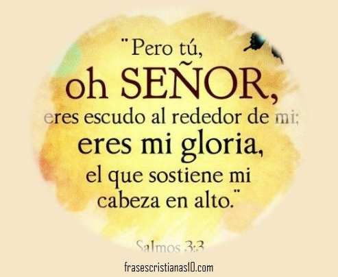 FernandoRaop's tweet photo. https://t.co/zsSO4AyeOh