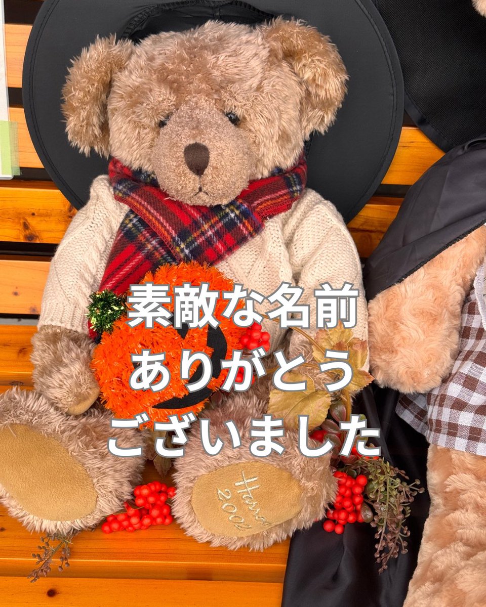 cafe2015518's tweet photo. インスタのコメント、メッセージから
素敵な名前が沢山ありがとうございました
名前の募集は終了させて頂きます
皆様の発想にはビックリ
皆様に愛される名前にしたいと思います
発表までしばらくお待ち下さい
ご協力頂いた皆様感謝申し上げます
cafeひとり
越谷市東越谷8-15-4
#越谷カフェ
#越谷ランチ https://t.co/WaojNruJWg