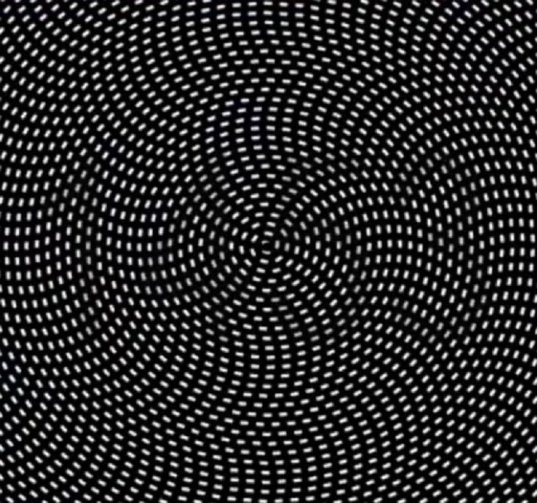 ELonMuskSpxlbc's tweet photo. No one has found the hidden number. 

What number do you see ? https://t.co/CINLrbwXNY