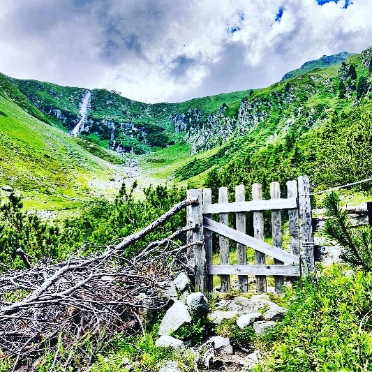 luiz1697's tweet photo. Old ways wont open new doors💚🗝️💫! Verlass die alten Trampelpfade und verändere, was schon lang nicht mehr zu dir passt.. #natureismyhappyplace
#outdoor
#bergliebe
#berge
#wandernmachtglücklich
#lifeisbetterinthemountains
#hiking
#mountaineering https://t.co/Cm0at0cIgD
