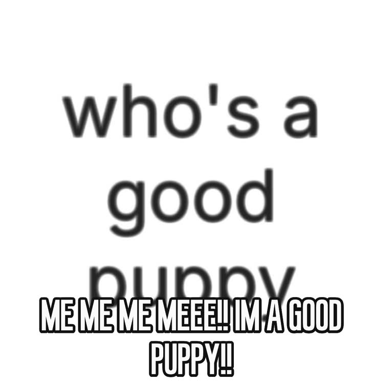needypupim's tweet photo. IT'S ME! https://t.co/tpP3M9enuo