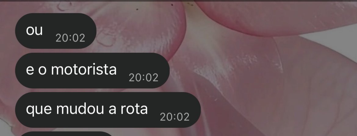juliavmoren's tweet photo. gnt é o motorista do 292 que mudou a rota pra deixar a gente em frente a Lapa kkkkkkkkkkkkkkkk eu e loren paramos msm https://t.co/G3I3SLjPuI