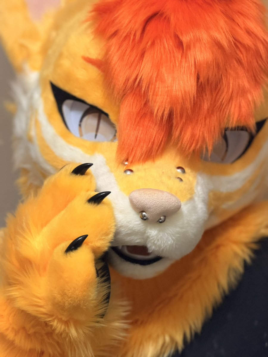 TobiVRC's tweet photo. Cmere I’ve got a secret for you :3

#Furry #FurryFandom #Fursuit #Fursuiter #FurryTwitter #FurryArt #FurryCommunity https://t.co/VB37qazHnB