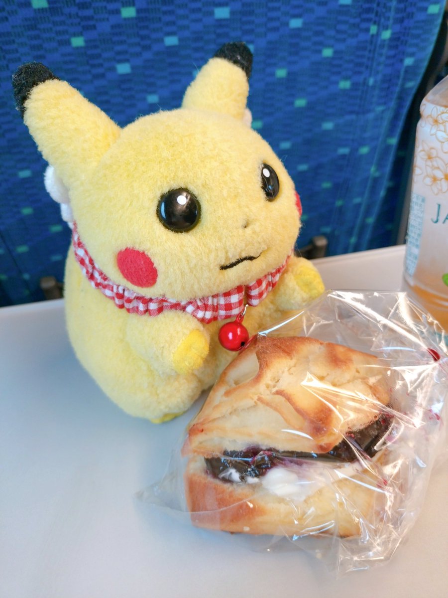 popocharos's tweet photo. 地元へ向かうんだよ🚄 https://t.co/vqs0nnRsxv