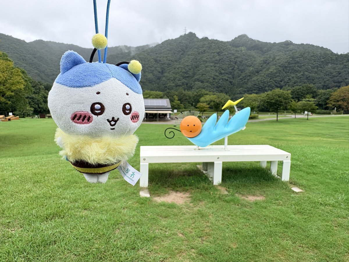 peeipepoke's tweet photo. 時が戻らないかなぁ…( ˇωˇ ) https://t.co/YdqOgDdYCu