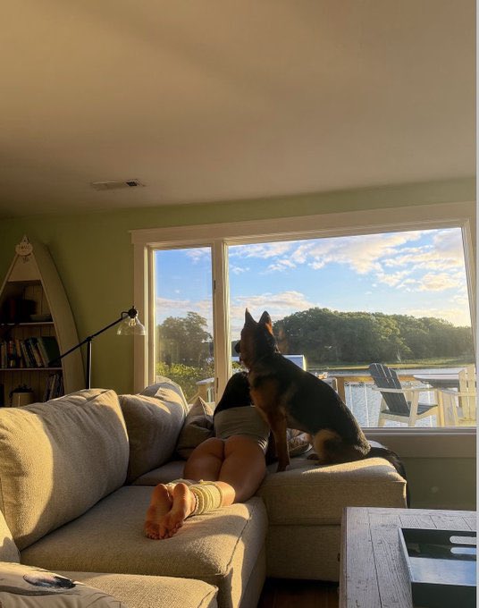 Juliacunnin's tweet photo. you wish you were spending your evening right here ⁠#goldenhour⁠ ⁠#cozyvibes⁠ ⁠#sundayfunday⁠ ⁠#germanshepherd⁠ https://t.co/mZ6bct1QXx