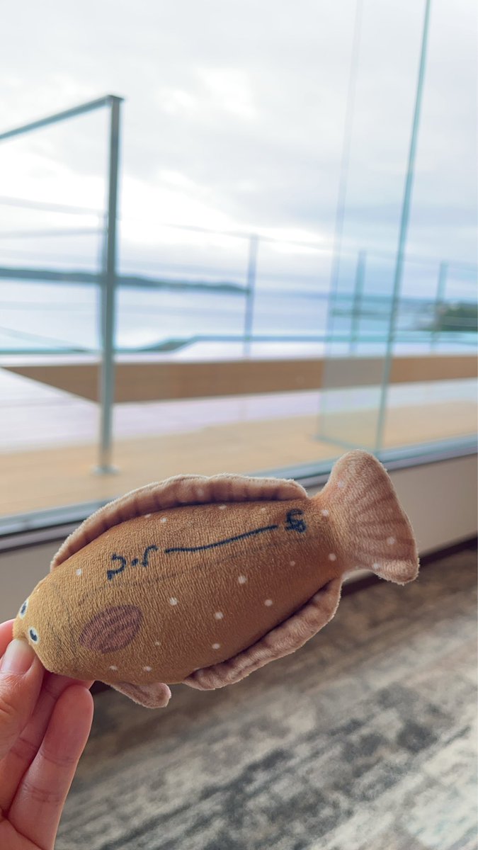 onimasa0904's tweet photo. 友だちの誕生日サプライズ旅行に来てます🎂✈️🥳

温泉入って♨️
いっぱい食べて😋
いっぱい遊んで🎶
すでにめっちゃ楽しい🩷

まだまだ旅行楽しむで〜✊✨ https://t.co/bALnK52B45