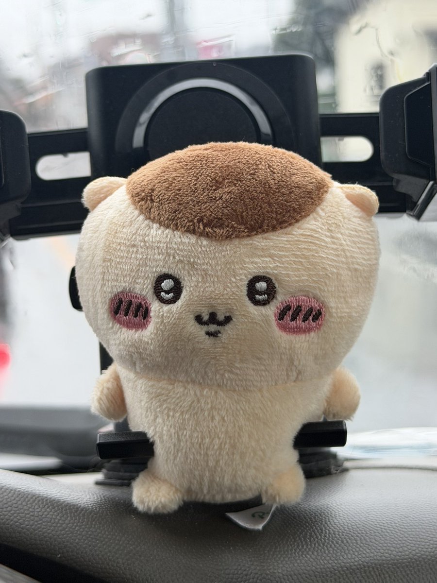 ot881o's tweet photo. おはようございます☀️

お仕事の方、学校の方、今日も頑張ってくださいね💪✨

ちなみに自分は雨で現場中止になりました👷‍♂️☔️

雨の日ってちょっと気持ちもどんよりしちゃいますが…風邪に気をつけ

みなさん今日も無理せず、安全第一でいきましょう🫡✨

ご安全に！！👷‍♂️ https://t.co/Ty29fbaaV6
