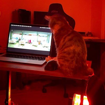 cryptofndi tweet picture