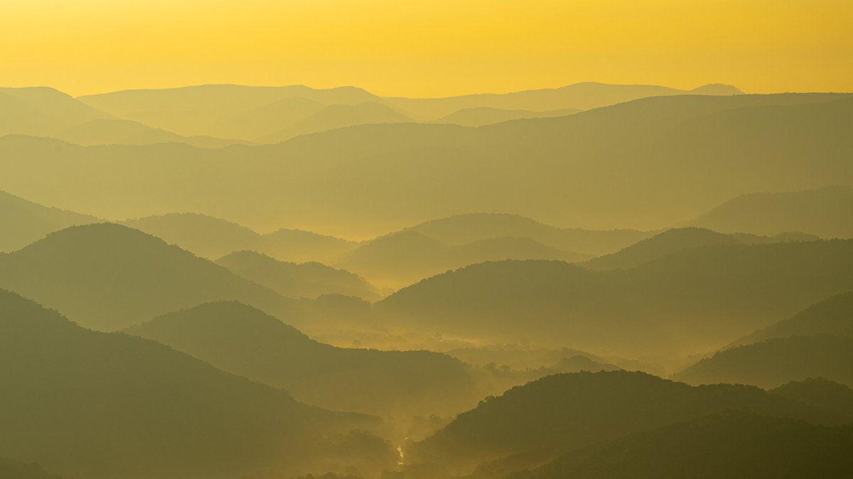 Ariemog's tweet photo. Landscape @Gudise, Maredumilli, Andhrapradesh, India. #untoldstories #untoldstreets #untoldmagic #visualsoflife #photowalkshyderabad #nikonindiaofficial #street_photography_hyderabad #streetphotographyindia #natgeoindia #siaphotogs https://t.co/NkbtVyq4jp