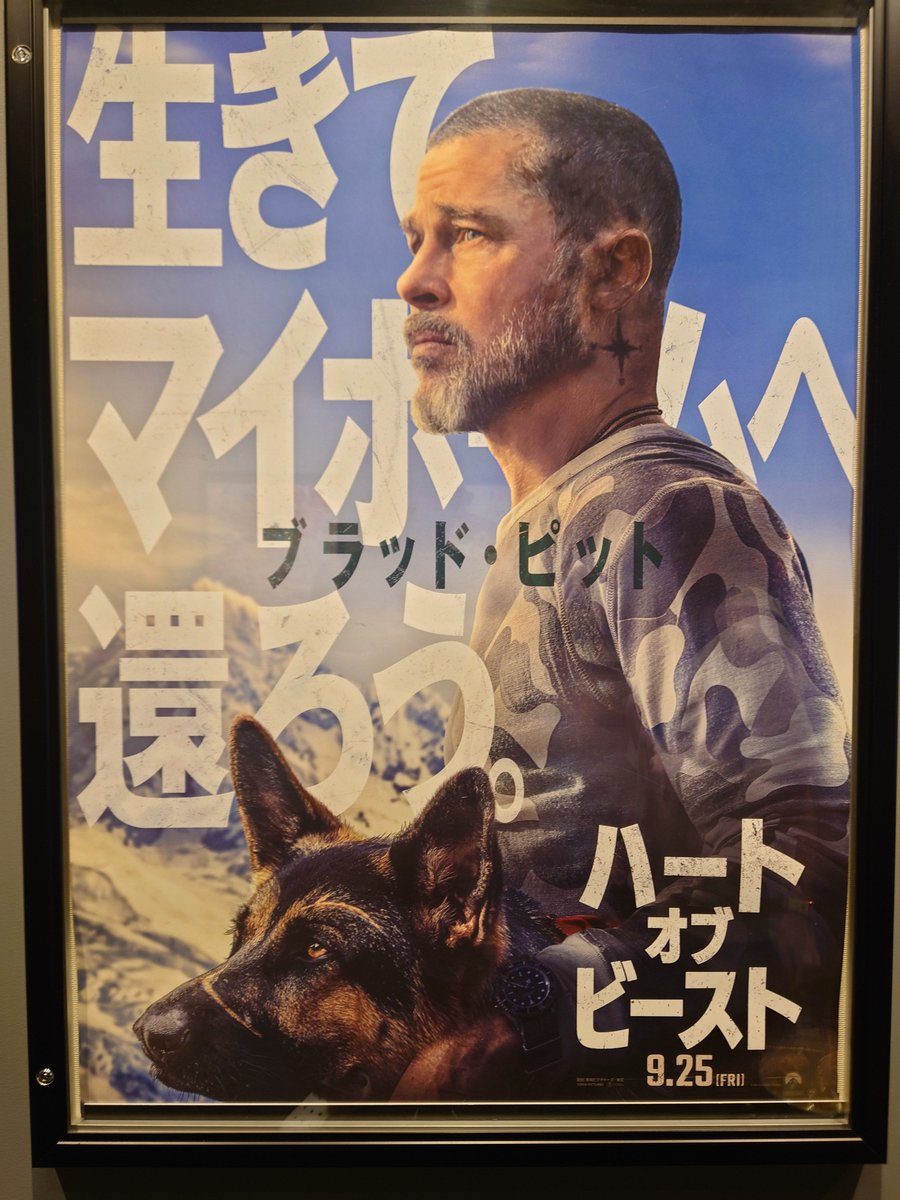 chalaconuuuu761's tweet photo. @761morning
警察犬の話なので
昨日、Heart of the Beast
見てきました。
K9のわんこ
とってもお利口さんで
泣きまくり。
警察犬もほんとお利口さんですよね。
色々、うちのめめのこと考えちゃう
めめもガムだいすき
#localconnection
#トポモ https://t.co/3EuDIsm1yY